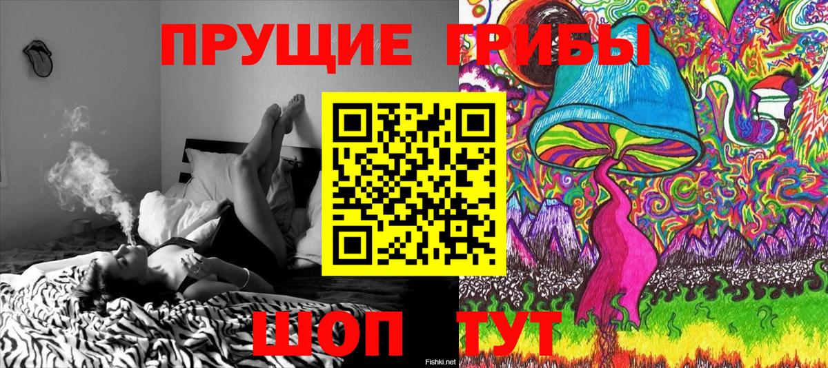 Галлюциногенные грибы GOLDEN TEACHER Нефтекумск
