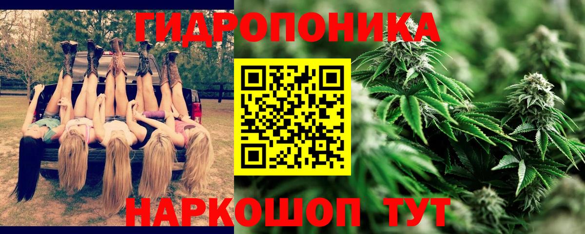 Каннабис White Widow  Вход с VPN  Нефтекумск  Марихуана сатива 